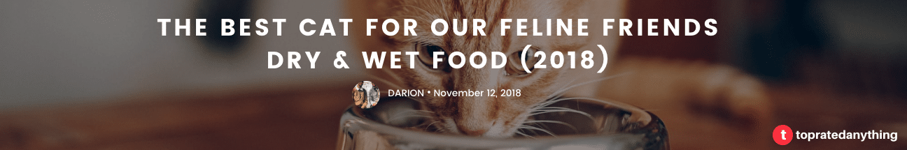 best wet and dry cat food